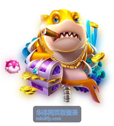 华体网页版登录操作指南与常见问题